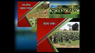 କୃଷି ଦର୍ଶନ || KRUSHI DARSHAN || 22 OCTOBER 2020