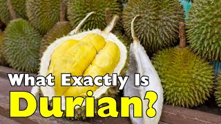 What Exactly Is Durian? The King of Fruits Explained [ID0906]