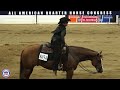 2024 quarter horse congress freestyle reining shauna brown on brake chec