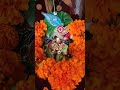 happy janmashtami odiavlog odiasong laddugopal cutebaby janmashtamispecial