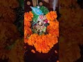 happy janmashtami odiavlog odiasong laddugopal cutebaby janmashtamispecial