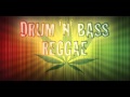 DRUM AND BASS & RAGGAE 2014 VOL 6 [NebbiaReggae]