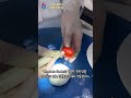 유원대학교 치위생학과 ep.24 ultrasonic scaler 실습