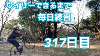 ウイリーできるまで毎日練習317日目【シーソースタンディング編】