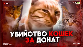 Китайцы Придумали Новый Способ Живодёрства | Hello Street Cat