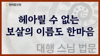 대행 스님 법문_헤아릴 수 없는 보살의 이름도 한마음 #길을_묻는_이에게