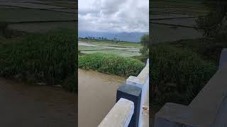 #dam#water#veerapandi#falls#kumbam#theni#