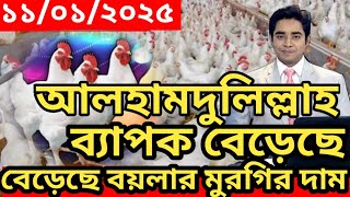 কিছু টা বেড়েছে বয়লার মুরগির দাম : ১১/০১/২০২৫ বয়লার ও সোনালী মুরগির পাইকারি বাজার : 11 January 2025