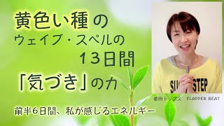 マヤ暦、黄色い種のウェイブ・スペルが始まります。前半KIN144〜KIN149（2021/5/7から5/12）のエネルギー。気づきの力で覚醒。マヤ暦スーパーアドバイザーの鈴木早代子がお送りします。