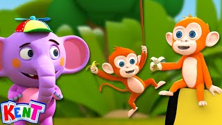 Monkey Monkey Monkey Song + More Daily Kids Songs And Rhymes By Kent The Elephant