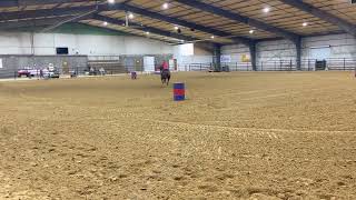 Training horse Alice making a nice barrel exhibition with her 2nd time off the ranch