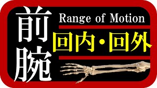 その腕ちゃんと回せてる？「回内・回外」編 ～家族でできるROM(関節可動域)検査/練習～　医療学生も必見！