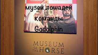 VLOG: Дубай/Museum of the horses/Куда сходить в Дубае Музей лошадей команды Godolphin