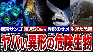 この世の物とは思えない見た目の危険生物12選【ゆっくり解説】