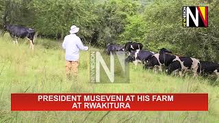 President Museveni at his Farm at Rwakitura