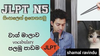 JLPT N5 vocabulary pass paper questions in sinhala (part1)