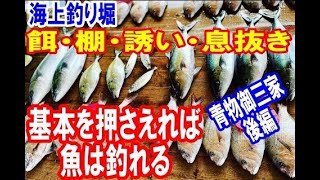 【海上釣堀】餌、棚、誘いの基本を大切に魚を掛ける～青物御三家を狙って～後編～あなたに逢い鯛釣り堀