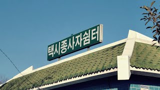 택시 기사님들만 안다는 신기한 된장찌개집.