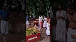 ഇല്ലം നിറ  ചിറക്കകാവ്.          Chirakkakavu bhagavathi temple koduvally.thalassery