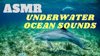 |ASMR| Underwater ocean sounds | Deep sea | Underwater sounds for sleep, meditation & stress relief.
