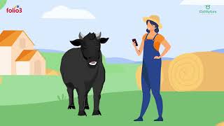 Cattlytics | Your Ultimate Solution to Ranch Record Keeping