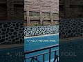 VILLA MURAH DI PUNCAK ADA KOLAM RENANG PRIBADI #shorts