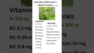 Vitamins \u0026 Minerals in Ajwain Leaves #shortsfeed #shorts #short #ytshorts #ytshort #yt #ajwain