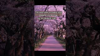 wake up.....