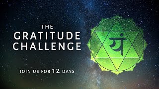 The Gratitude Challenge