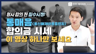 통매음 합의금 시세 이 영상 하나만 보세요! 통신매체이용음란죄 합의금