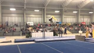 Anthony McCallum Parallel Bars - Puerto Rico/Temple 2016