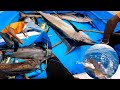 Big Black marlin and Sailfish catching Back to Back in the deep sea
