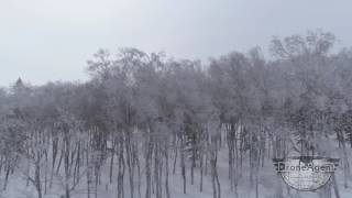 岩本 北海道 樹氷 雪 冬 氷