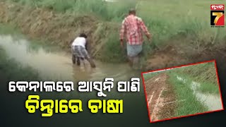 Farmers tension over lack of rains in Kendrapara|କେନ୍ଦ୍ରାପଡ଼ାରେ କେନାଲ ଅବ୍ୟବସ୍ଥା; ଚିନ୍ତାରେ ସହ ସହ ଚାଷୀ