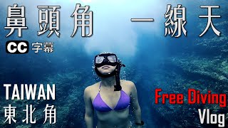 【自由潛水就出一張嘴VLOG】東北角自潛秘境: 鼻頭角一線天 ｜FREEDIVING | TAIWAN｜新手樂園｜海貓咪的美人魚日記｜大海系初階網美聖地