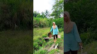 Kekurangan pisik tak jadi hambatan buat si teteh ini #kampung #desa #village #country #pedesaan