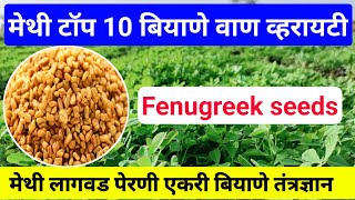 मेथी टॉप 10 जाती बियाणे वाण व्हरायटी | मेथी लागवड तंत्रज्ञान | Methi top varaity | fenugreek seeds