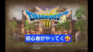 【PS5】【顔出し\u0026実況】【ドラゴンクエスト3 そして伝説へリメイク版】【雑談OK\u0026ネタバレあり】No,21今日は重たい雪が積もったー🙂‍↕️風呂😃🛀♨️に入ってポカポカ♨️☀️