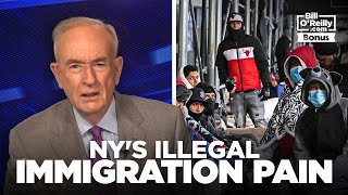 Bill O'Reilly on New York's Illegal Immigration Pain