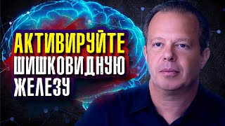 Джо Диспенза. Настраиваемся на высшие измерения: шишковидная железа как приёмопередатчик.