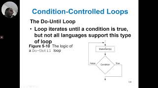 Python / Raptor flowchart loops repetition