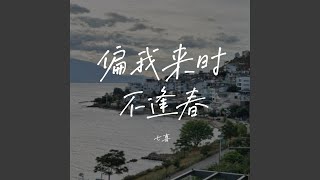 偏我来时不逢春 (DJ Eva版)