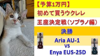 【予算1万円】初めて買うウクレレ王座決定戦（ソプラノ編）決勝 Aria AU 1 VS Enya EUS 25D