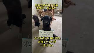 微鑫：15767143454   LINE:jiuzhu888 幫助狗狗或者投喂郵寄糧食都可以私訊聯繫方式感恩有您🙏🙏