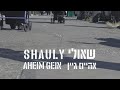 Shauly - Aheim Gein | שאולי - אהיים גיין - ft. Moishe’le