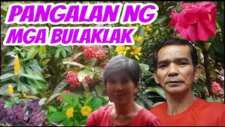 ANG PAGPAPA KILALA KO SA PANGALAN NG MGA BULAKLAK