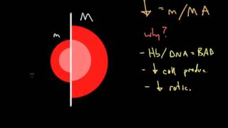 Clinical Approach to Anemia