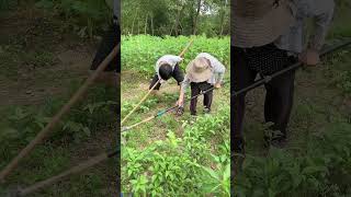 Writing with feet without hands 婆婆是40歲的時候生的我老公，在老公5歲的時候出的意外，當時對婆婆公公是很大的心理打擊，所以婆婆和別人說話都十分難語言溝通我曾經問萬霖你