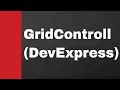 C#, how to Manually set column in to DevExpress GridControll