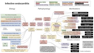 Infective endocarditis (mechanism of disease)